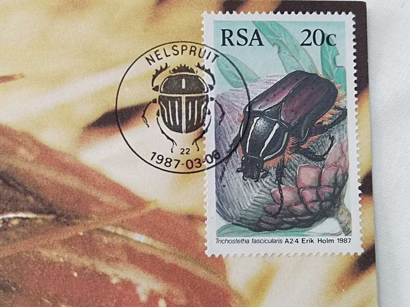 Postcard: Beetles/Kewers