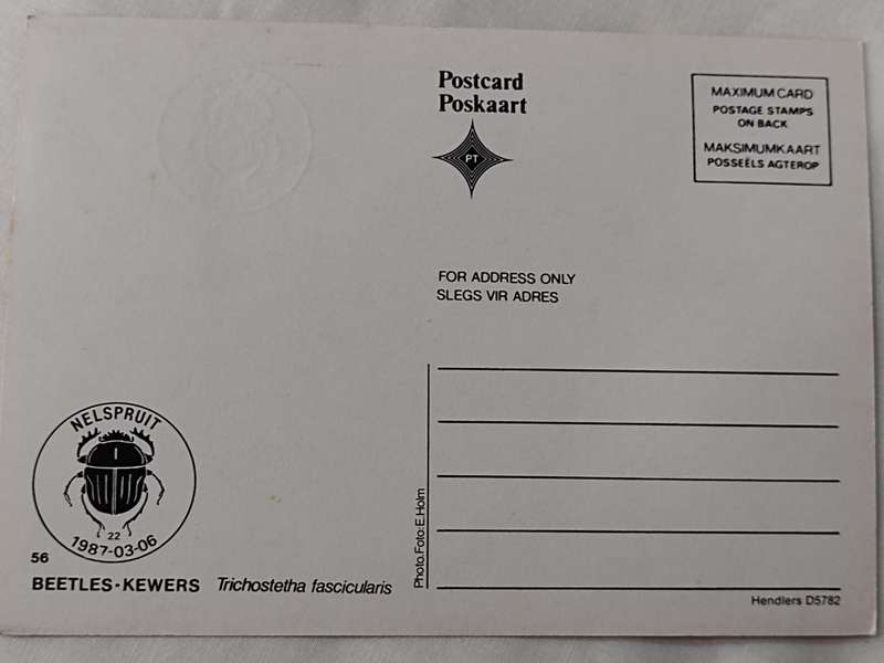 Postcard: Beetles/Kewers