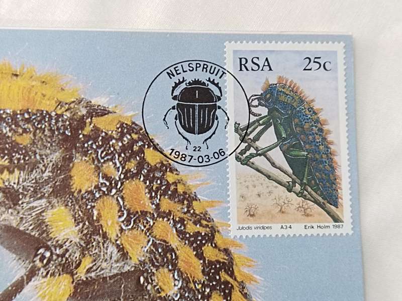 Postcard: Beetles/Kewers