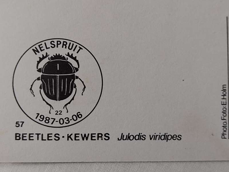 Postcard: Beetles/Kewers