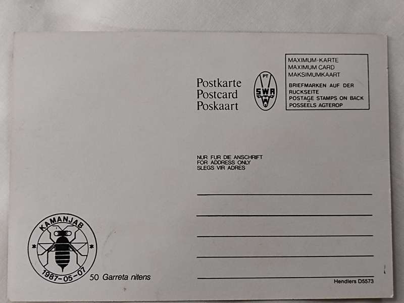 Postcard: 50 Garret Nitens