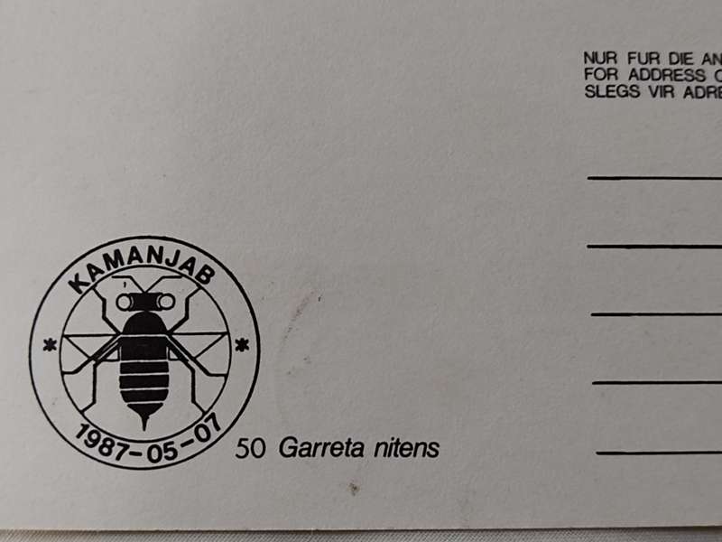 Postcard: 50 Garret Nitens