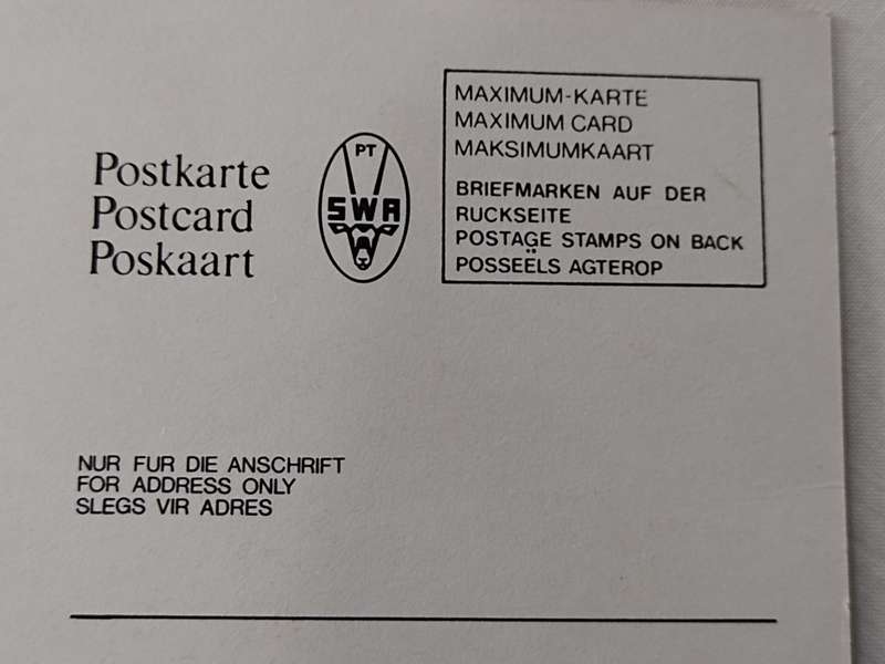 Postcard: 50 Garret Nitens