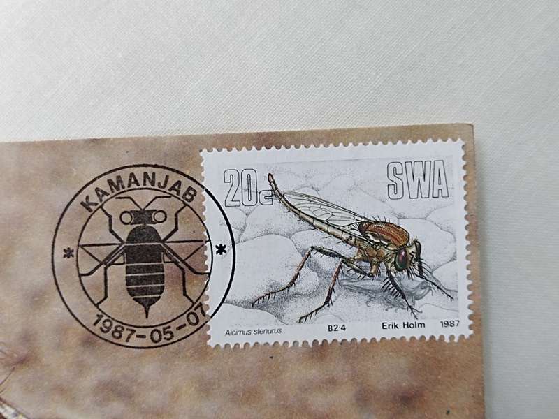 Postcard: 51 Alcimus Stenurus