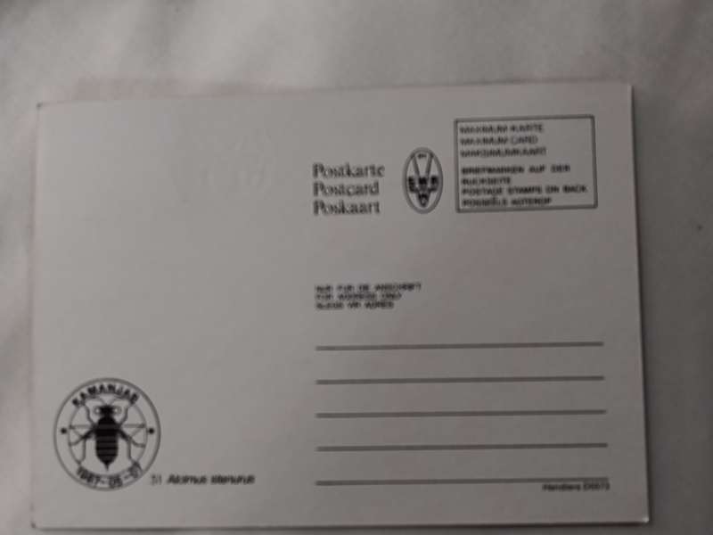 Postcard: 51 Alcimus Stenurus