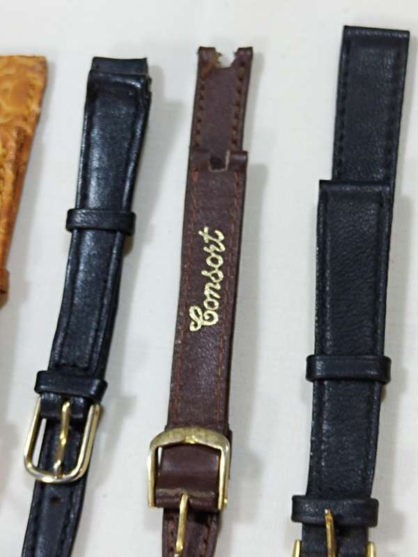 X10 Mixed Ladies leather watch straps