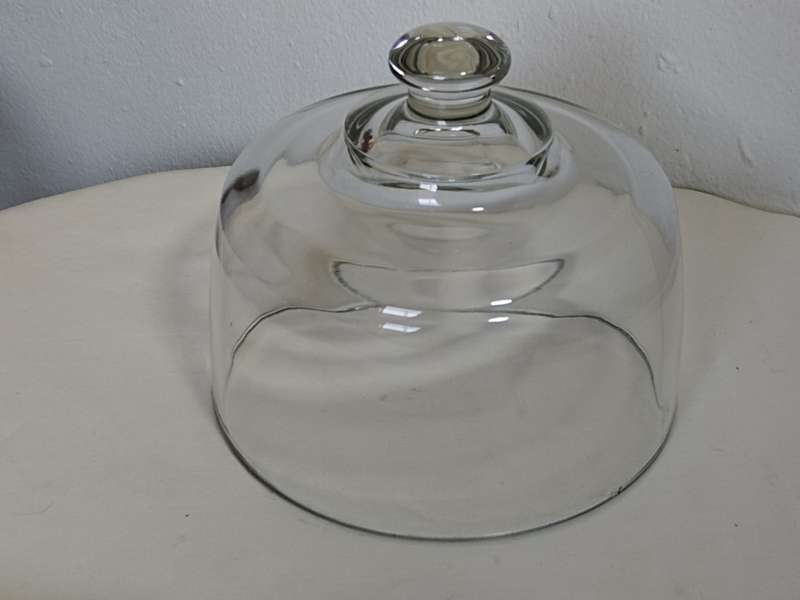 Glass Dome