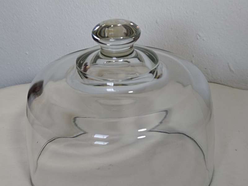Glass Dome