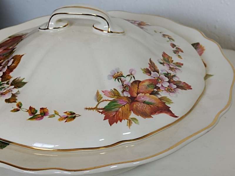 Royal Doulton, Wilton D6226: Serving Bowl with lid