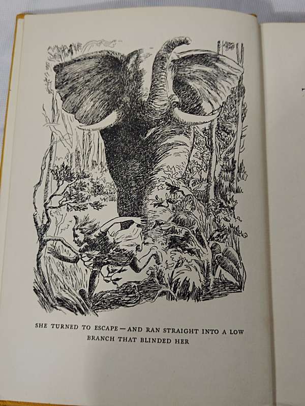 Friends of the Bushveld by Fay King