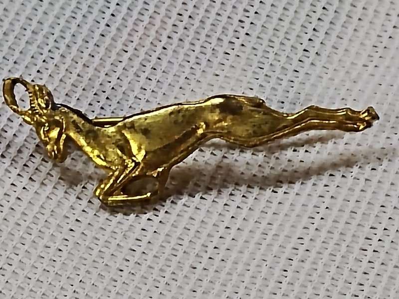 Vintage Rugby Springbok pin