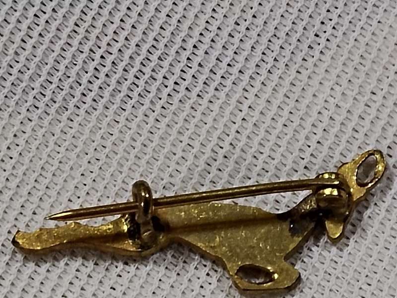 Vintage Rugby Springbok pin
