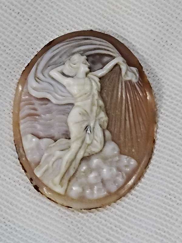 Shell Cameo