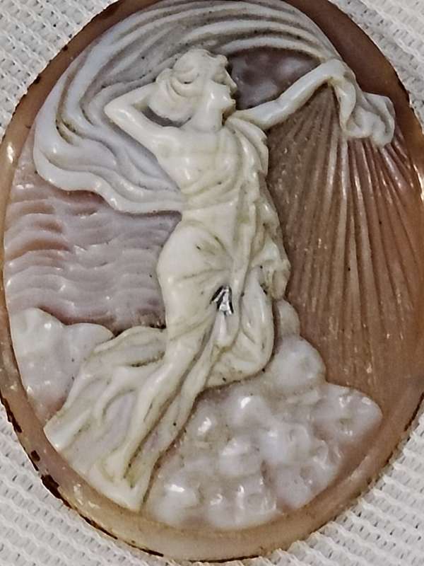 Shell Cameo