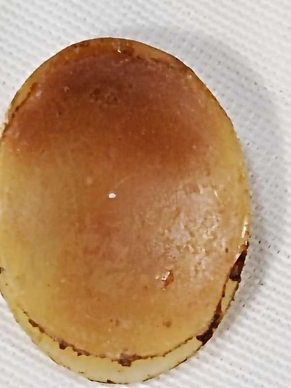 Shell Cameo