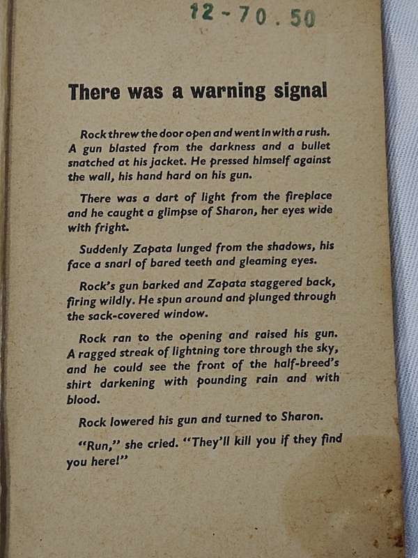 Louis L'Amour: The Tall Stranger