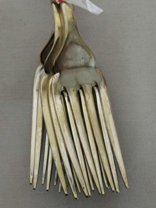 EPNS A1 Forks