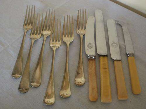 X6 FORKS & X4 BONE HANDLE KNIFES