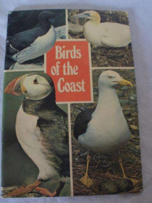 BIRDS OF THE COAST, SEA BIRDS