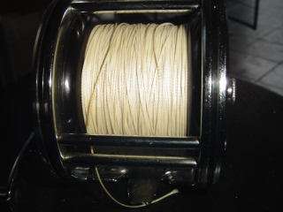 Penn 49 Wide Spool - Unreal - Brand New- Fully Loaded with 90lb Braided Line