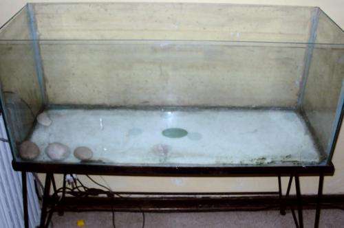 Fishtank and stand