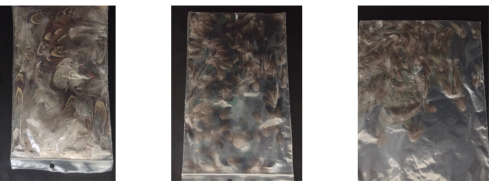 Fly Tying Feathers For Sale (Bulk Lot)