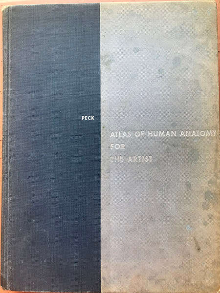 Atlas of Human Anatomy for the Artist