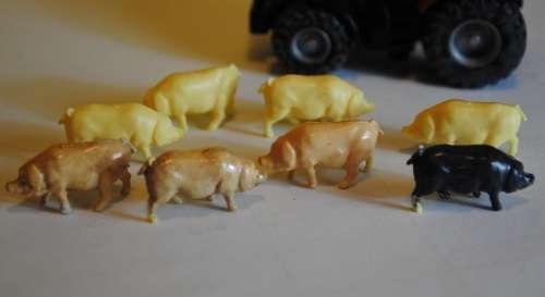 1:87 Scale PIGS - SET OF 8