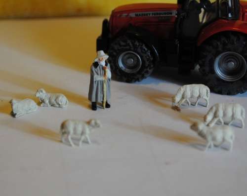 1:87 Scale SHEEP - SET OF 6 with Shepherd PREISER 14160
