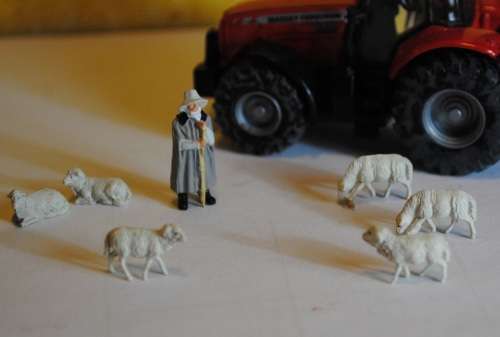 1:87 Scale SHEEP - SET OF 6 with Shepherd PREISER 14160