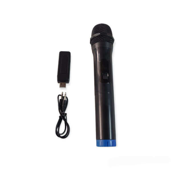 Karaoke Microphone Wireless