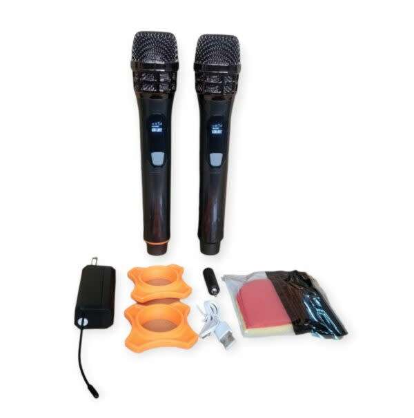 Professional Universal Dual Wireless Microphone