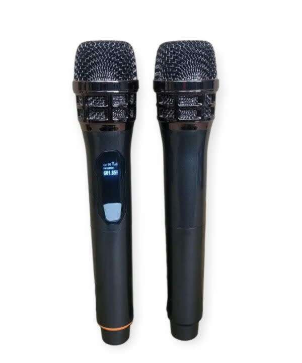 Professional Universal Dual Wireless Microphone
