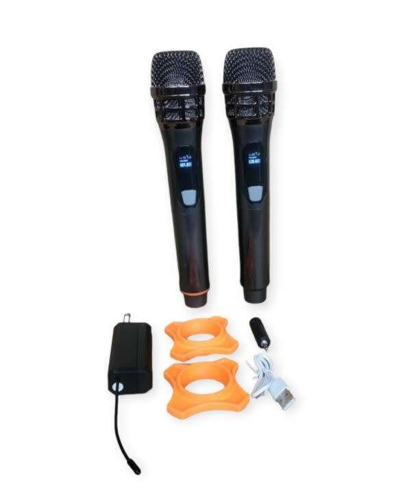 Professional Universal Dual Wireless Microphone