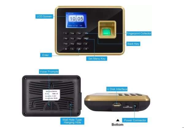 Independent Fingerprint Clock