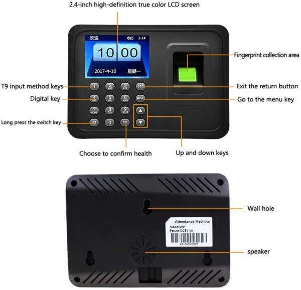 Independent Fingerprint Clock