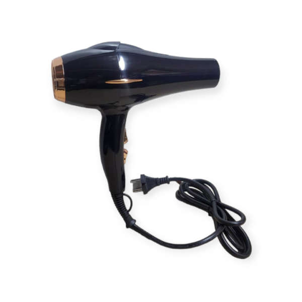 Professional Hair Dryer 4000W
