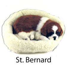St Bernard Sleeping Pup, Battery operated see him breathing while sleeping
