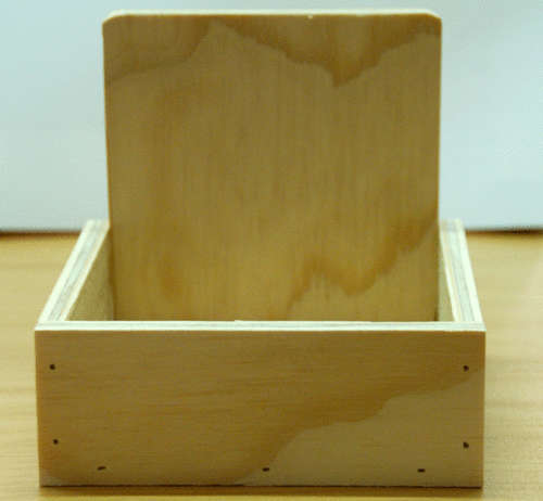 Canary Nest