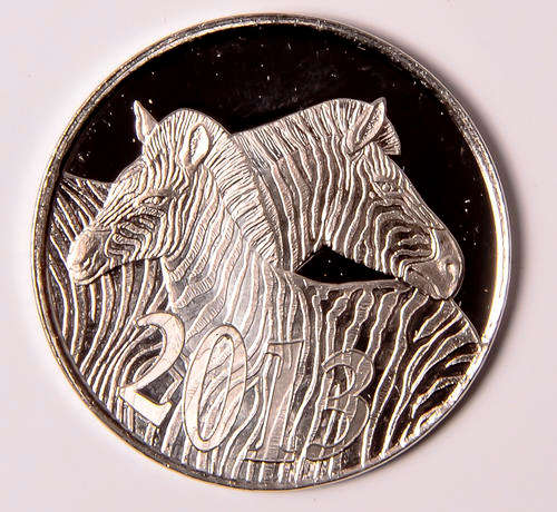 *** NEW ***  2013 Coin World Token - Zebra
