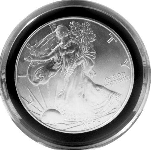 USA UNCIRCULATED 1 Oz. FINE SILVER DOLLAR 2005