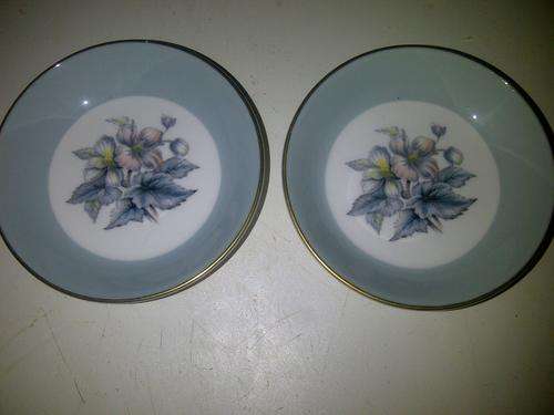 Royal Worcester Fine Bone China "Pin"Plates