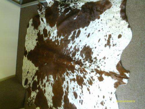 Brown and white Nguni skin