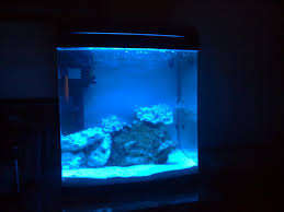 JEBO R338 FISH TANK (BARGAIN)
