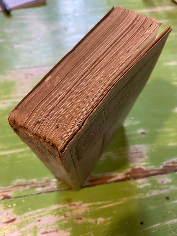 The Cape of Good Hope Being the Official Handbook of the City of Cape town 1909