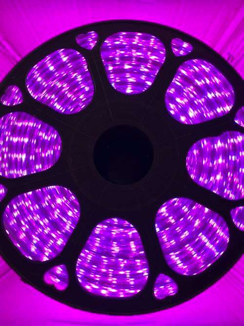 20M High Quality LED strip Light with plug (CHANGES TO ALL COLORS)