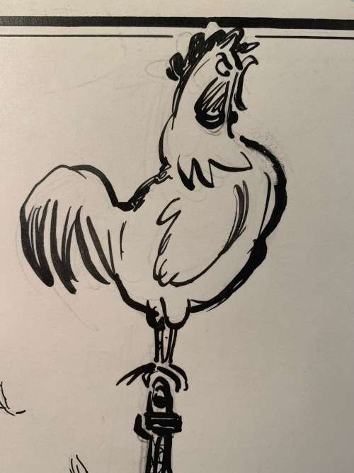 ORIGINAL SPRINGBOK RUGBY CARTOON by TEDDY WINDER
