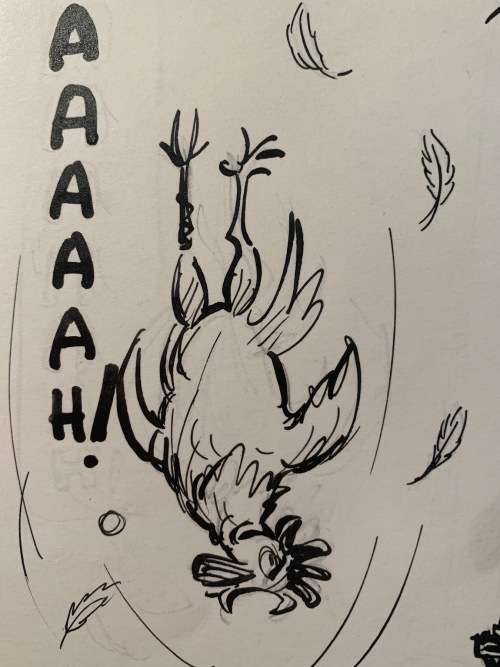 ORIGINAL SPRINGBOK RUGBY CARTOON by TEDDY WINDER