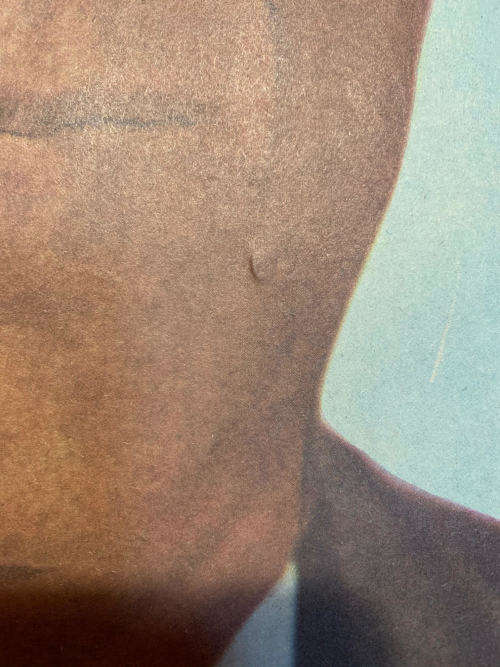 ORIGINAL HISTORIC NEWSPAPER POSTER: ASSASSINATION OF DR VERWOERD