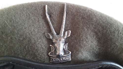 SWATF beret, Border war.